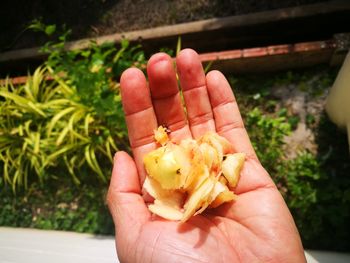 Close-up of hand holding food