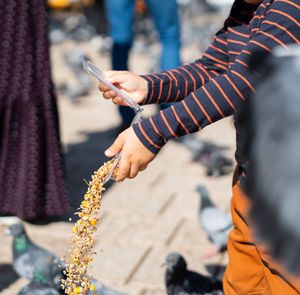 Boy  spills corn and wheat to the birds