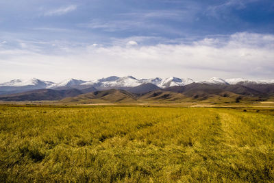 Autumn in qinghai, china,mountains at qinghai lake