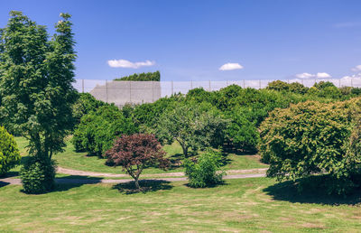 Trees and plants in park against sky