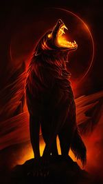 animal