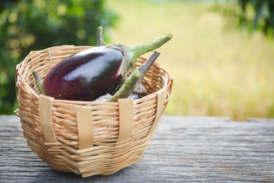 Close-up of eggplants in wicker basket on wooden bench