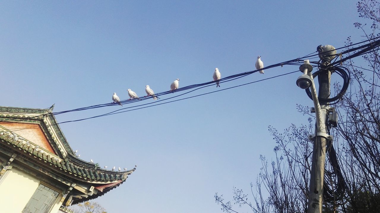 LOW ANGLE VIEW OF BUILT STRUCTURES AGAINST SKY