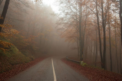 Road amidst trees in forest during autumn