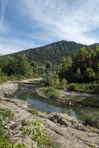 Scenic view of river amidst trees against sky