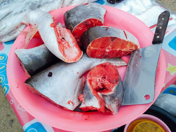 High angle view of fish in container