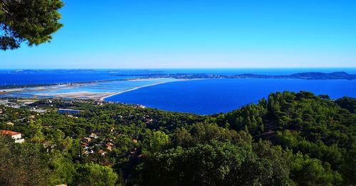 High angle view of sea and trees against blue sky