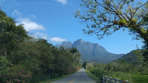 Road amidst trees against sky