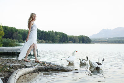 Woman standing on shore by geese swimming in lake