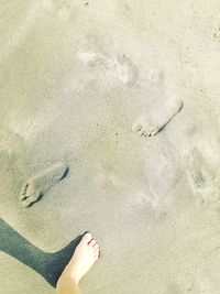 Low section of person standing on beach