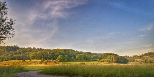 Scenic view of field against sky