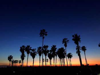 Silhouette of palm trees at sunset