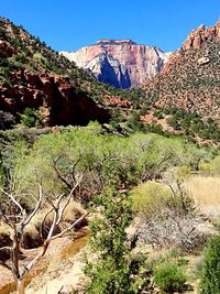 Scenic view of mountains