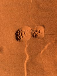 High angle view of footprints on sand