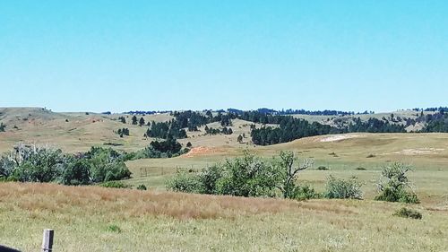 Scenic view of landscape against clear blue sky