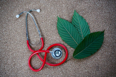 High angle view of stethoscope and leaves on floor