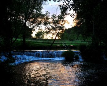 Scenic view of river flowing in forest