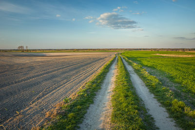 Scenic view of agricultural field against sky