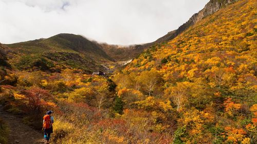 Rear view of hiker walking by tree mountain against sky during autumn