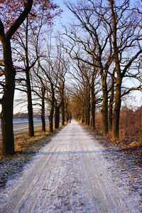 Road amidst trees against sky