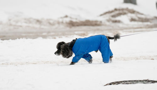 Woman with dog on beach during winter