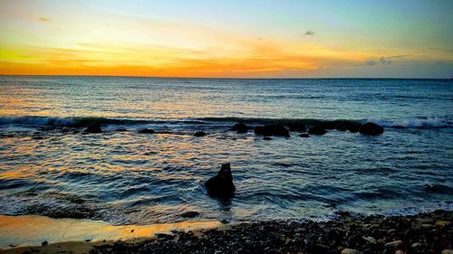 View of birds on beach during sunset