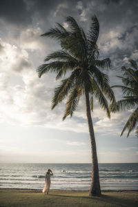 Palm tree by sea against sky