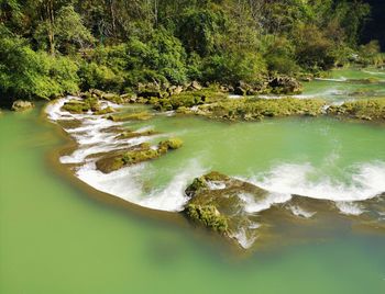 Scenic view of river flowing in forest