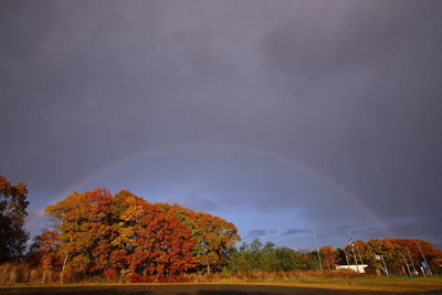 Scenic view of rainbow over trees against sky