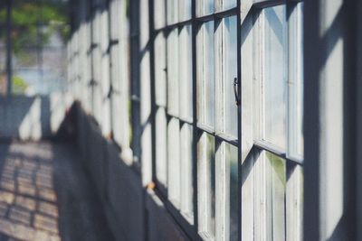 Close up of food in the dark