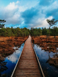 Narrow walkway along plants and trees against sky