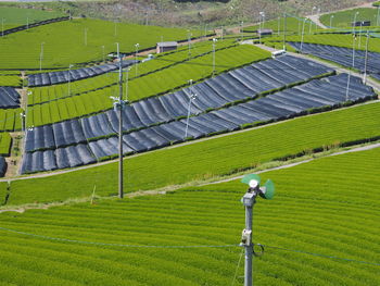 Scenic view of agricultural field