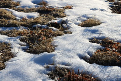 High angle view of snow covered land