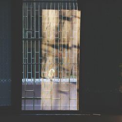 Close-up of window in cage