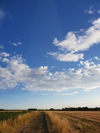 Dirt road amidst agricultural field against sky