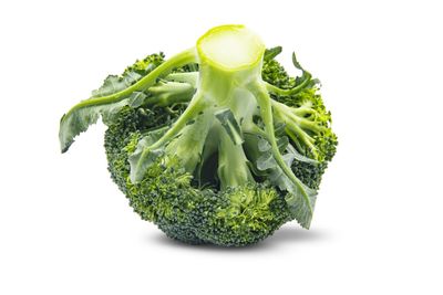 Directly above shot of vegetables against white background
