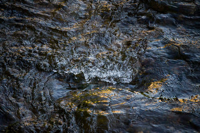 High angle view of rippled water