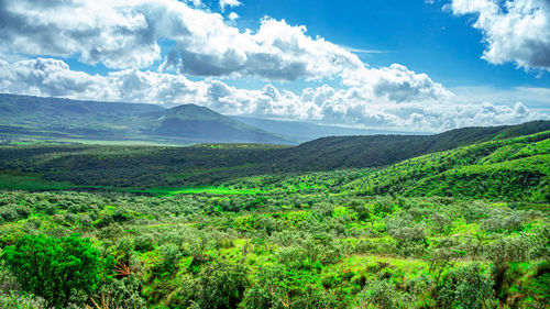 Scenic view of landscape against sky