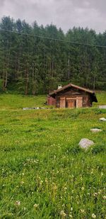 House on field against trees and plants