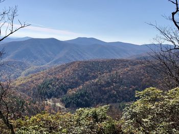 Scenic view of landscape against clear sky