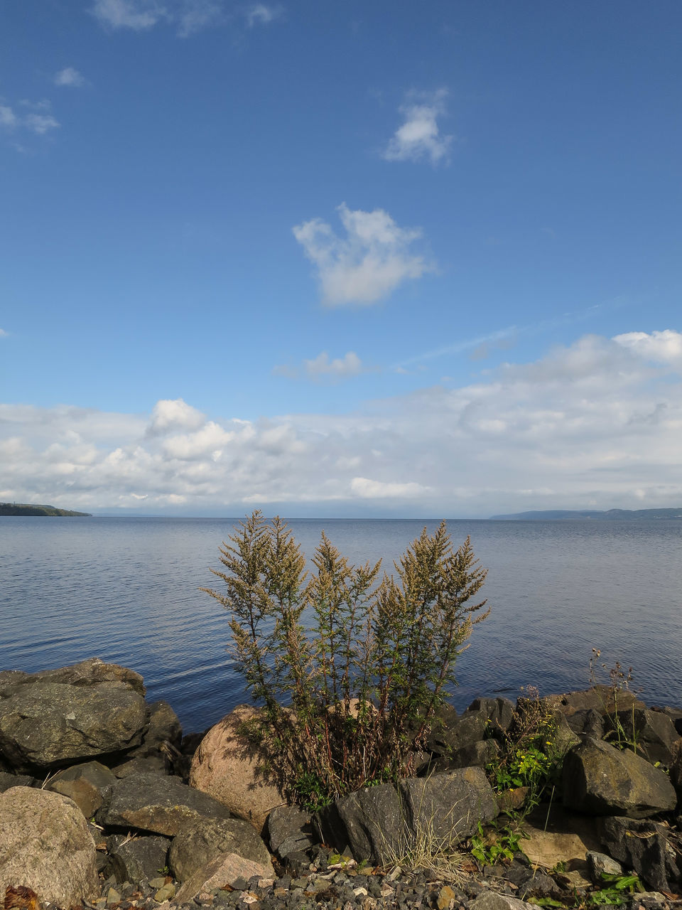 sea, horizon over water, water, sky, tranquil scene, tranquility, beauty in nature, scenics, nature, beach, shore, plant, blue, cloud, cloud - sky, growth, idyllic, rock - object, day, outdoors