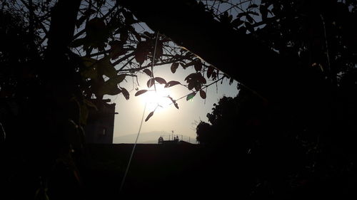Low angle view of silhouette tree against sky
