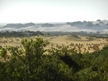 Scenic view of landscape against clear sky