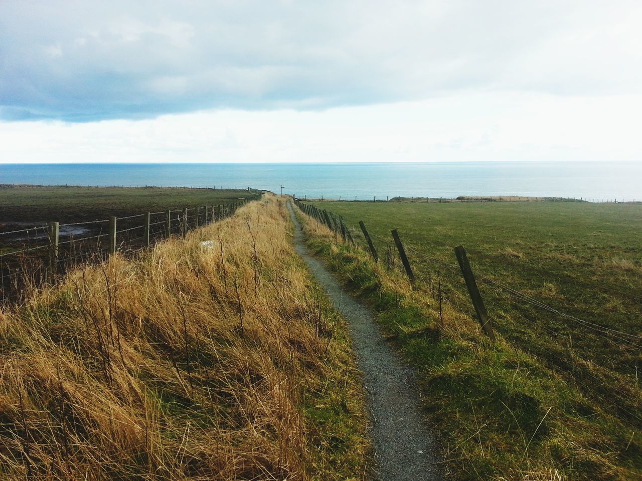 sky, tranquil scene, tranquility, grass, landscape, field, scenics, cloud - sky, horizon over water, beauty in nature, nature, cloudy, sea, cloud, water, rural scene, the way forward, fence, agriculture, horizon over land