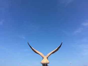 Low angle view of giraffe