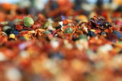 Various spices for sale at street market