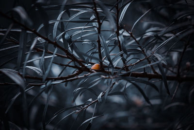 darkness