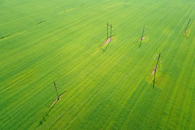 Green agricultural field with electric power transmission towers, aerial view.