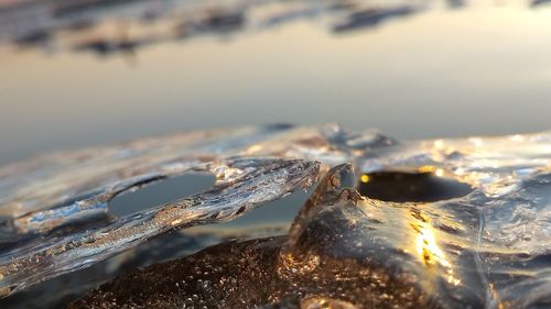 Close-up of frozen sea during winter