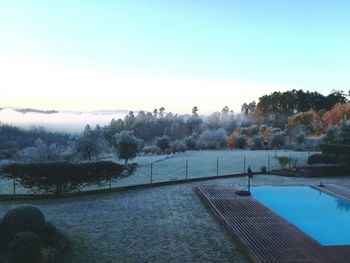 Scenic view of trees against clear sky during winter